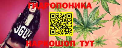 твердый Жуковский