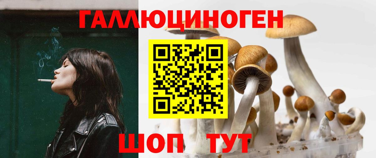 Псилоцибиновые грибы ЛСД  Вход с VPN  цены наркотик  Псилоцибиновые грибы GOLDEN TEACHER  Краснокаменск 